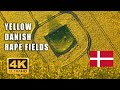 Beautiful yellow rape fields in Denmark in 4k. Peaceful and relaxing meditation music
