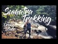 Sumatra Dschungel Trekking in Ketambe | Besuch bei den Orang-Utans | VLOG #001