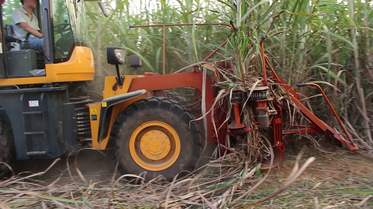 2016 SH15 SUGARCANE CUTTER YouTube