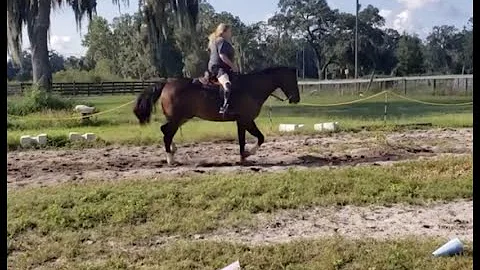 Debra horse riding    HD 1080p