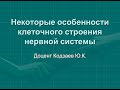 Кодзаев Ю.К. Некоторые особенности клеточного строения нервной системы