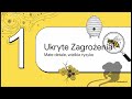 banan w ulu, czyli internetowe bzdury
