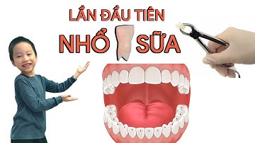 Lần đầu nhổ răng sữa - Tìm hiểu về răng - Nhổ răng bá đạo | Codeky TV