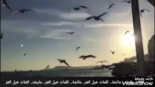 كلمات..  عايشه ( عائشة)  Aisha