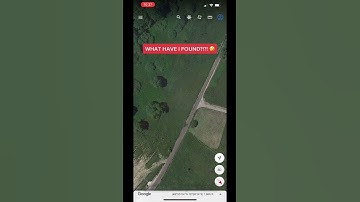 Found a Flying Rabbit On Google Earth! Found On Google Earth and Maps #shorts