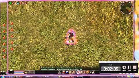 Metin2.pl;kronos;CraimE