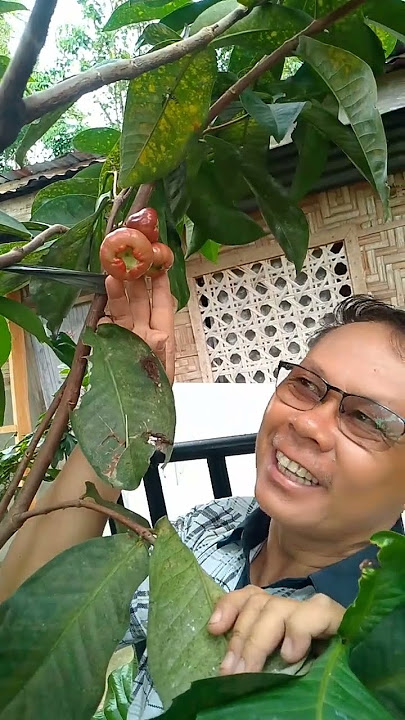 Tambes fruit.#prutas
