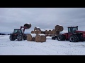 Winters Here.....Hauling Bales in the Snow CaseIH Steiger 9270