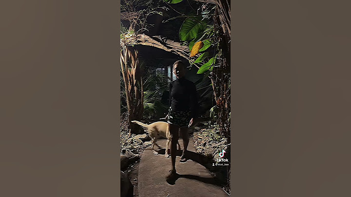 I’m getting out of this 👤🫣 #doppelganger #doppleganger #creepy  #scary #horror #tiktok