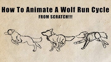 How To Animate A Wolf Run Cycle From Scratch!!