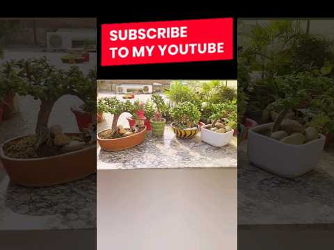 Video: 6 tapaa käyttää Houndstoothia ympäri taloa