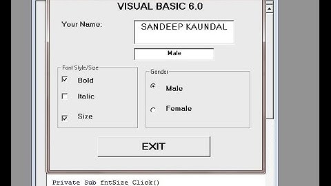 Learn Visual Basic 6.0- Frame Control,Check Box and Option Buttons in vb - Step by Step Tutorial