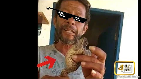 O que acontece se eu beijar um sapo?