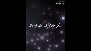 كل عشيره عده بيرغ مالها / تصميم حالات واتساب