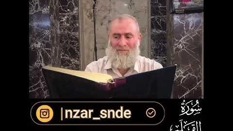 سورة القلم القارئ نزار تتر