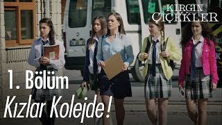 Kızlar kolejde! - Kırgın Çiçekler 1. Bölüm