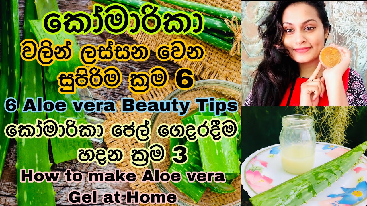 කෝමාරිකා ජෙල් හදන ක්‍රම 3ක් සහ කෝමාරිකා වලින් ලස්සන වෙන ක්‍රම 6ක් Aloe Vera Beauty Tips