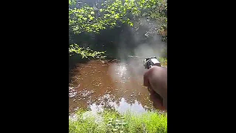 38/357 rat/snake shot