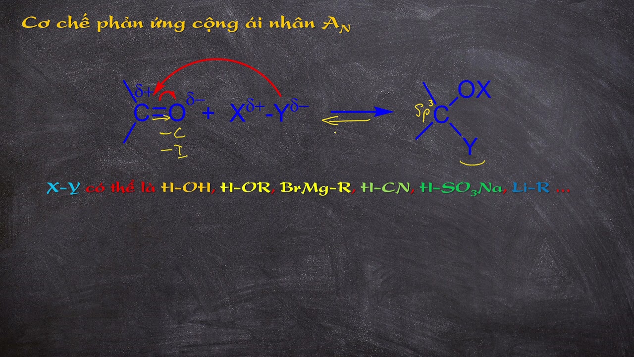 Cơ chế phản ứng cộng ái nhân AN