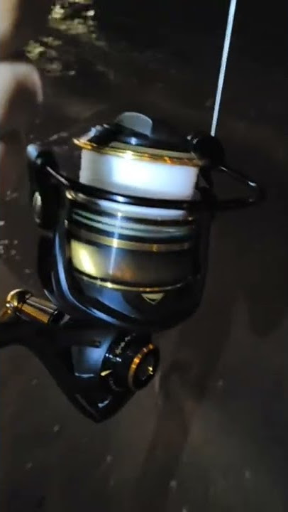 Shimano Will HATE This. Penn Slammer 4 Review (Teardown) 