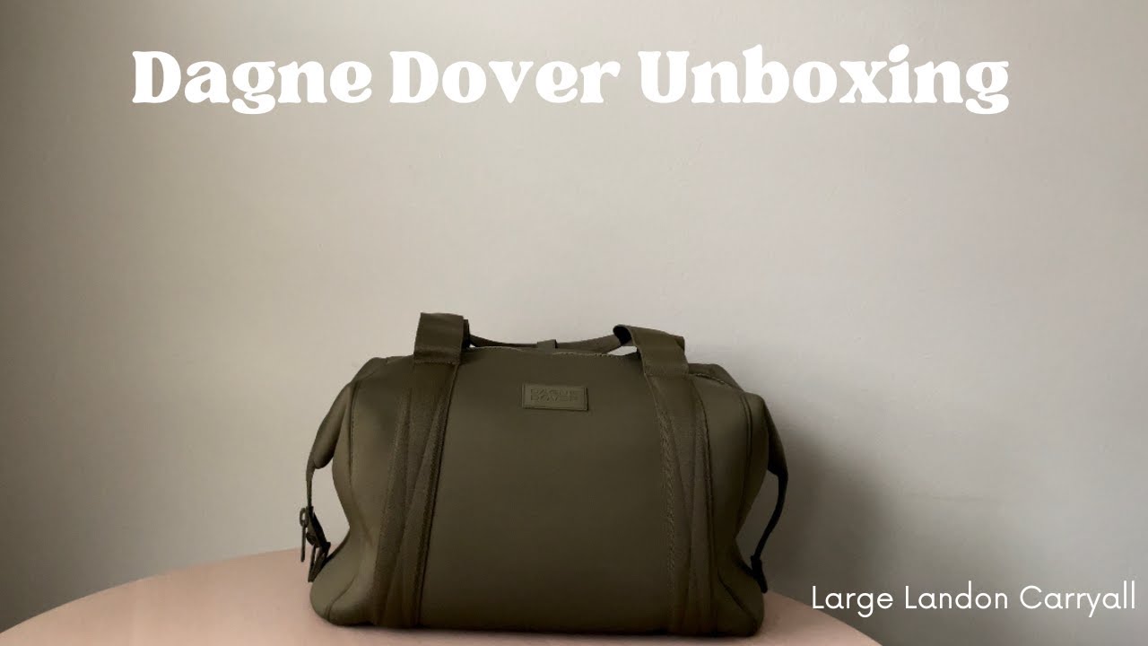 Dagne Dover Small Landon Carryall Review + Pack + On The Body