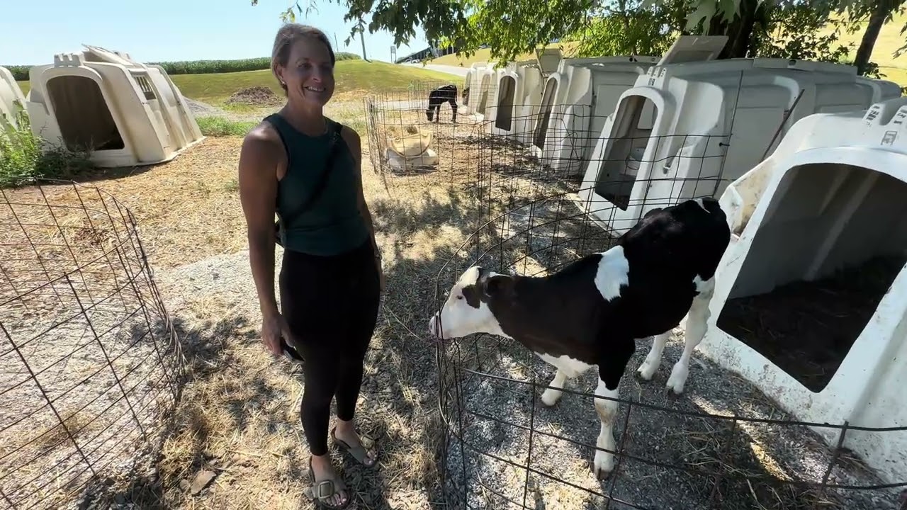 Kenny’s farmhouse cheese in Kentucky