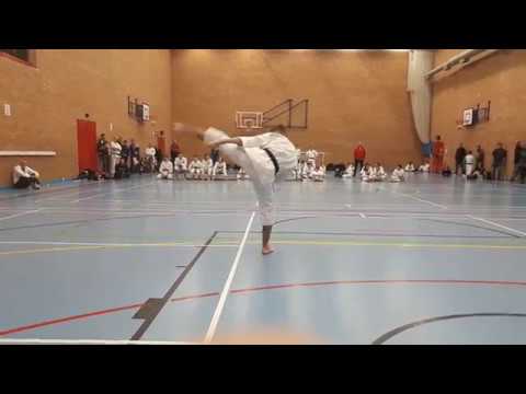 Video: Hoe werk karate-graderings?