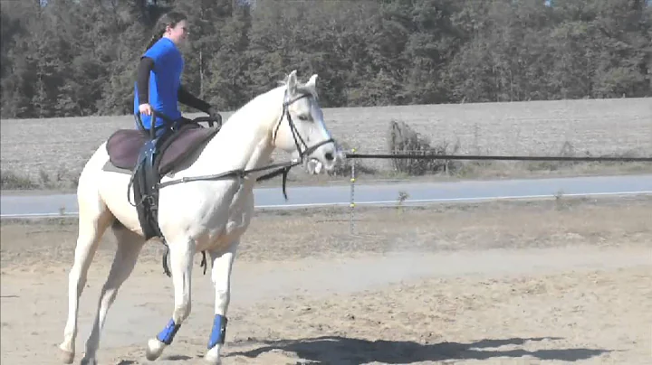 Vaulting with Heather Merrell #88