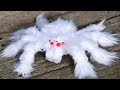 Las 7 Arañas Más Sorprendentes Y Únicas En El Mundo
