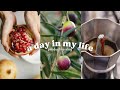ITALY VLOG- how I lost 40+ pounds without exercising, applying for jobs, creating healthy habits