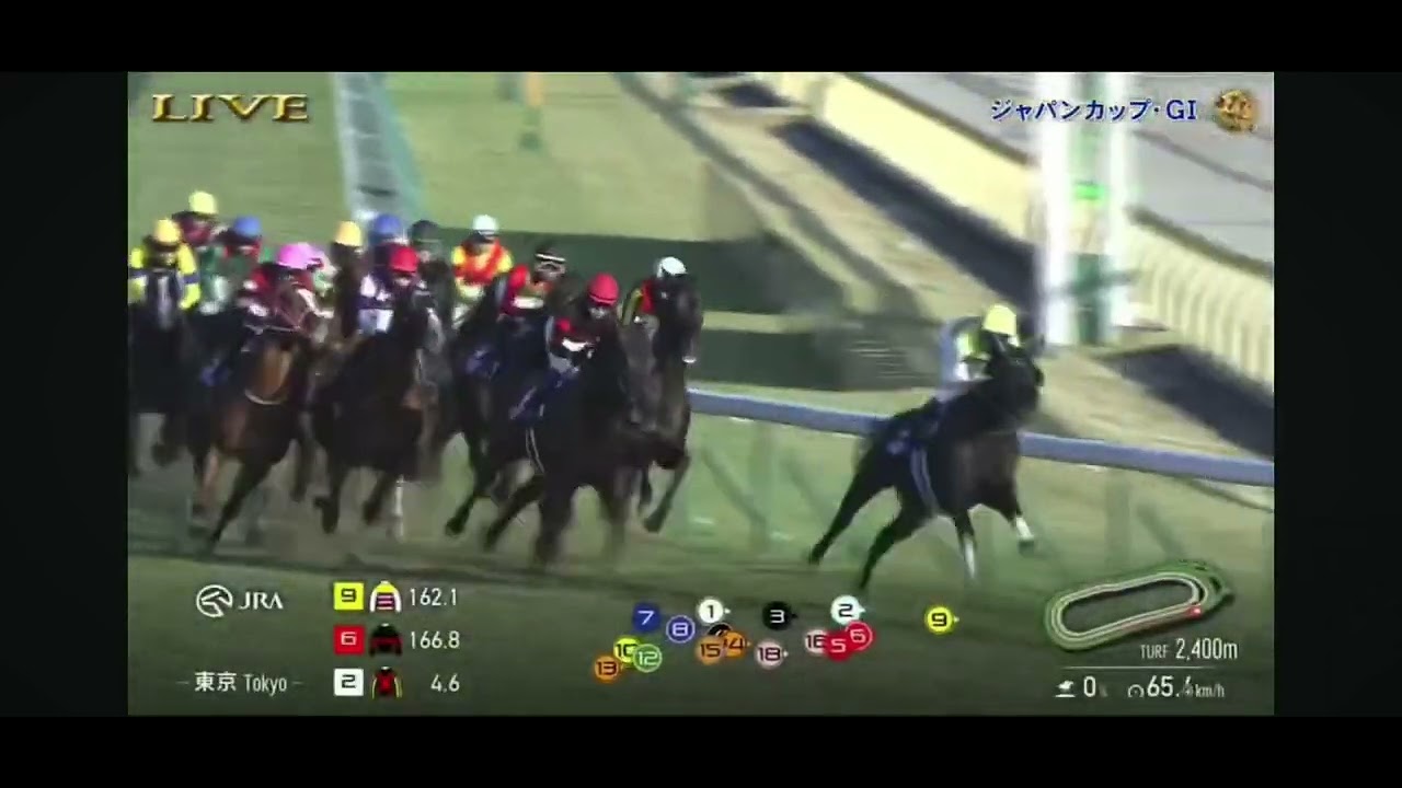 2025年第45回ジャパンカップG1 カランダガン　Mバルザローナ