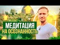 Медитация на каждый день. Осознанность. Пробуждение.