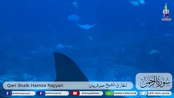 Surah Ar Rahman l سورة الرحمان l Beautiful and Heart Touching Surah Ar Rahman l Shaik Hamza Rayyan