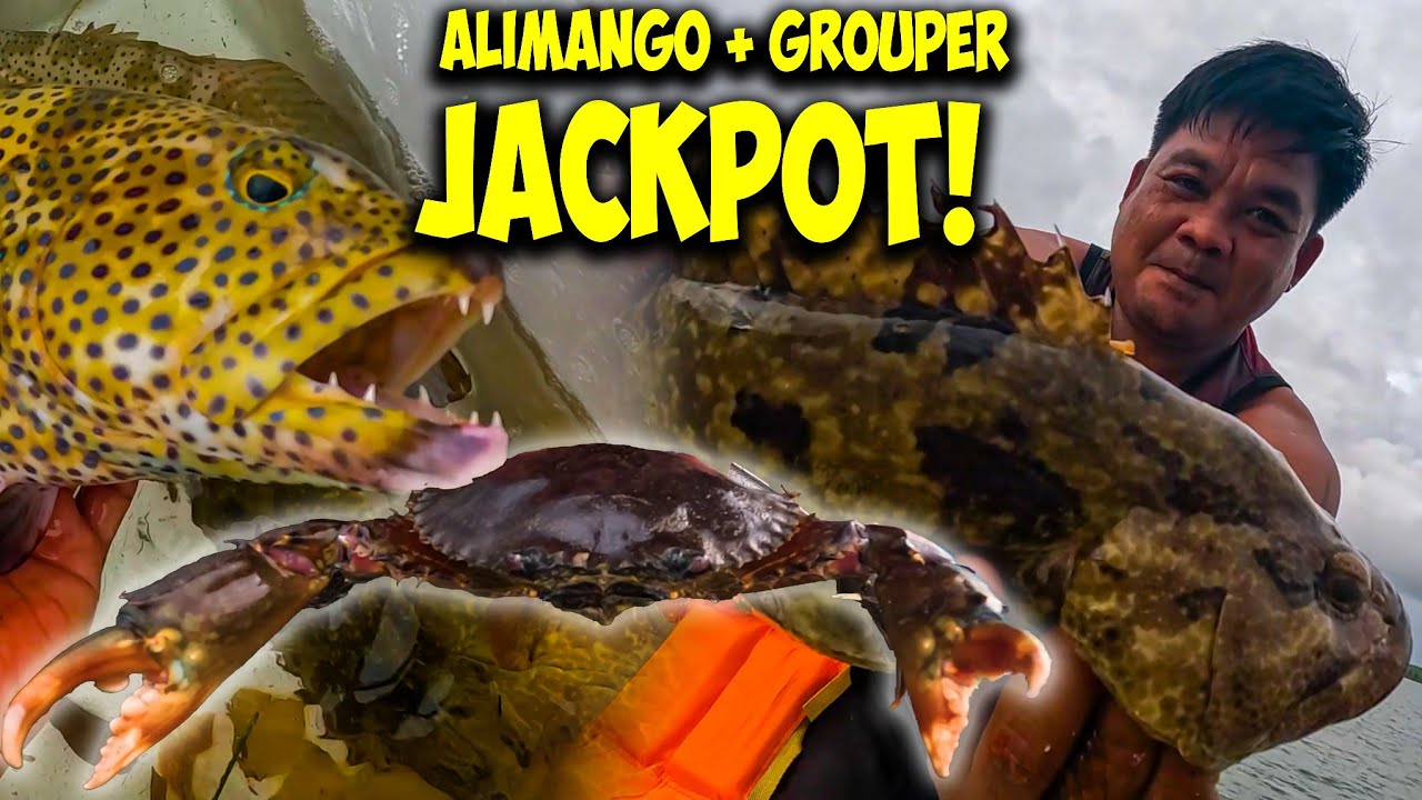 P1 - PANGATLONG HARVEST WOW JACKPOT!