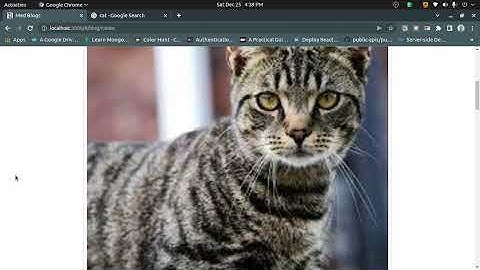 CS50w final project 2021