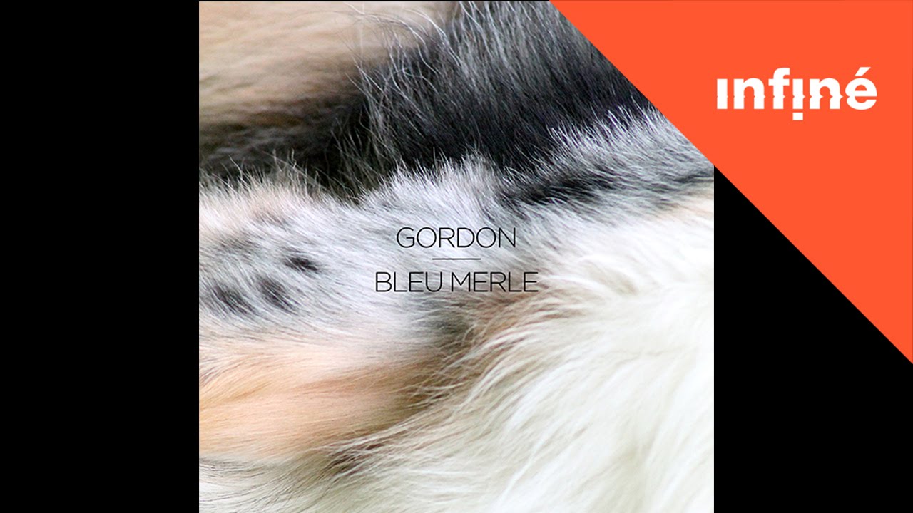 Gordon - Fagus
