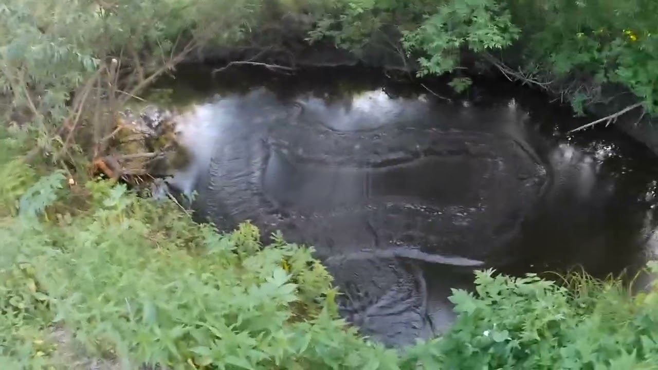 Кастинговая сеть на деревенской речке.