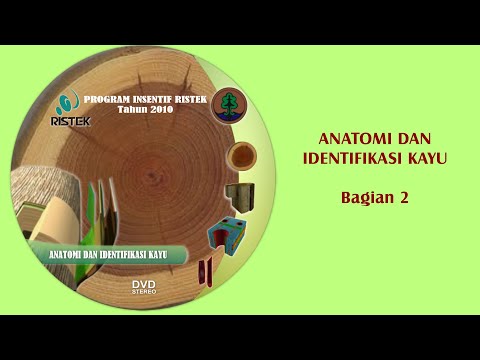 Video: Kayu Yang Distabilkan: Menstabilkan Kayu Di Rumah Dengan Tangan Anda Sendiri, Komposisi Dan Apa Itu, Polimer Dan Cairan Stabilisasi