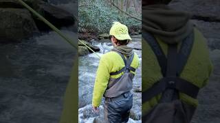 Download Lagu Vissen met de GOEDKOOPSTE vishengel ooit!! #shorts #fishing #shortsvideo MP3