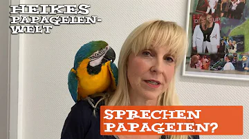 Können Vögel wirklich sprechen?