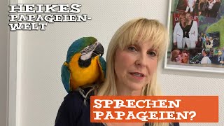 Können Papageien wirklich sprechen?