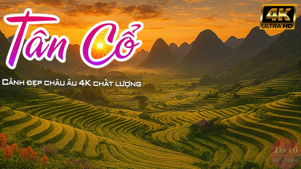Nhạc Tình Ca Mùa Thu TÂN CỔ CẢI LƯƠNG Hay Nhất Mọi Thời Đại CA CỔ Cảnh Đẹp Châu Âu 4K Chất Lượng