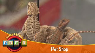 Pet Shop | Virtual Field Trip | KidVision PreK