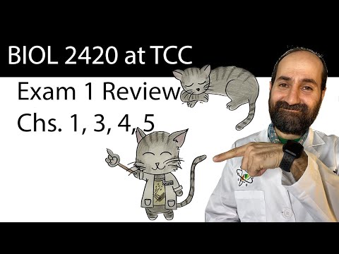 BIOL 2420 Exam