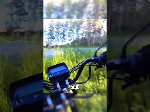 Неожиданная концовка😂😂