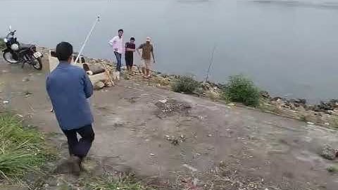 Dòng cá nheo sông Đà và cái kết ( video cần thủ Trần Hiệp)