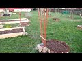 READY FOR PLANTING