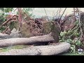 Tornado ripped through Salt Lake City on this day in 1999