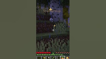 Finally a shiny Pixelmon!