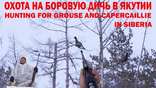 видео: ОХОТА НА ГЛУХАРЯ, ТЕТЕРЕВА И РЯБЧИКА. ЯКУТИЯ. HUNTING FOR GROUSE AND CAPERCAILLIE. SIBERIA. картинка: ОХОТА НА ГЛУХАРЯ, ТЕТЕРЕВА И РЯБЧИКА. ЯКУТИЯ. HUNTING FOR GROUSE AND CAPERCAILLIE. SIBERIA.